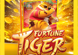 G55Bet - fortune tiger